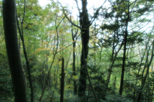 Touhoku_day2 Touhoku_day2